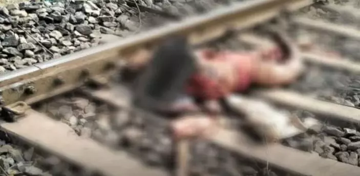 ट्रेन से कटकर महिला की मौत, 4 घंटे तक पटरियों पर पड़ी रही लाश! रेलवे प्रशासन पर उठे गंभीर सवाल