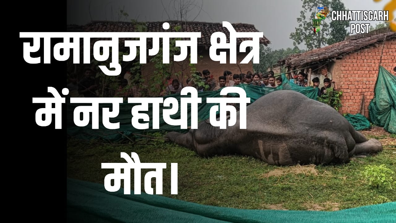 रामानुजगंज वन परिक्षेत्र में नर हाथी की संदिग्ध मौत