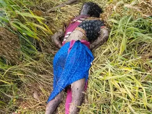 रायगढ़ में महिला की करंट तार की चपेट में मौत, शिकारियों की लापरवाही बनी कारण
