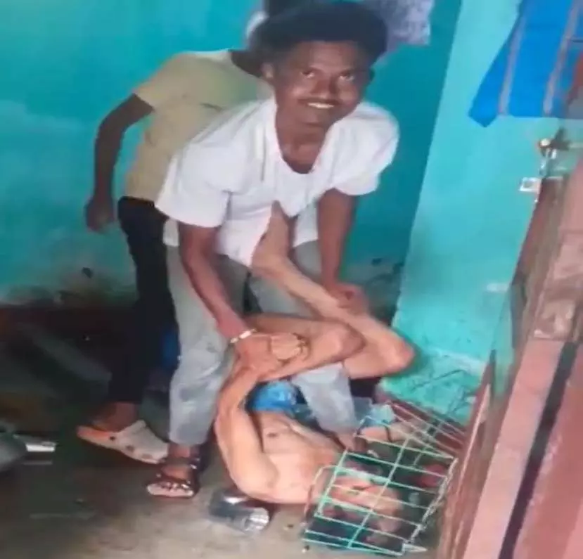 रिश्तों की मर्यादा चकनाचूर: भांजे ने मामा को बनाया बंधक, बेरहमी से पिटाई का वीडियो वायरल!