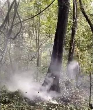 दंतेवाड़ा में नक्सलियों की बड़ी साजिश नाकाम, 5 किलो प्रेशर कुकर बम को जवानों ने किया डिस्ट्रॉय