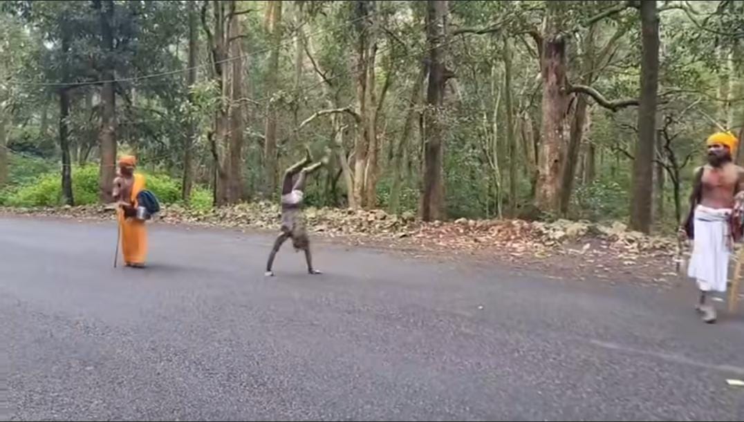 हिल जाएगी रूह! हाथों के बल 3500 किलोमीटर की यात्रा पर निकले धर्मराज पुरी महाराज, अधोमुखी मुद्रा में कर रहे नर्मदा परिक्रमा