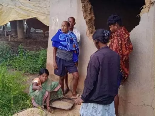 अंबिकापुर में हाथियों का आतंक! 25 हाथियों ने लालमाटी गांव में मचाई दहशत, युवक की हुई मौत, स्कूलों में छुट्टी