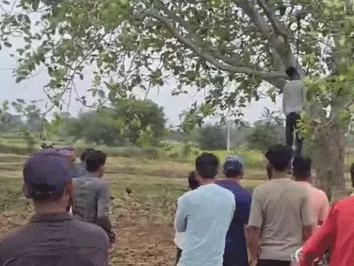 इलेक्ट्रिशियन ने मौत को लगाया गले — पेड़ से लटका मिला युवक का शव, मोबाइल और बाइक मौके पर बरामद इलेक्ट्रिशियन ने मौत को लगाया गले — पेड़ से लटका मिला युवक का शव, मोबाइल और बाइक मौके पर बरामद