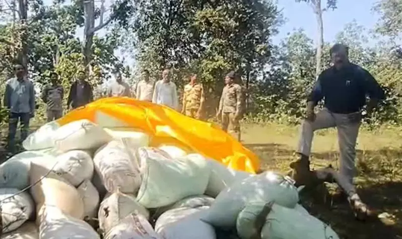 बलरामपुर में जंगल से जब्त की 143 बोरी अवैध धान, प्रशासनिक कार्रवाई में फिल्मी अंदाज