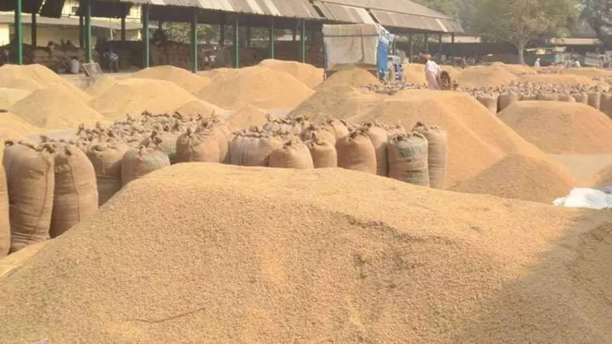 सीमा पर ‘धान माफिया’ की हलचल! आधी रात पहुंची प्रशासनिक फोर्स—तीन चेकपोस्टों पर हड़कंप, कड़ी निगरानी में हर वाहन