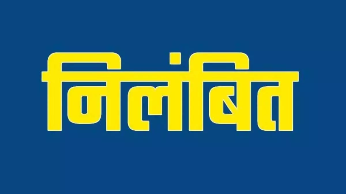 कलेक्टर के आदेश की अनदेखी भारी पड़ी,पटवारी पप्पू सोनी निलंबित, विभागीय जांच के आदेश
