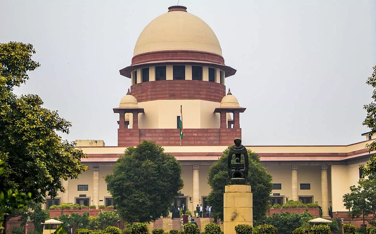 सुप्रीम कोर्ट का सख्त आदेश: सड़कों पर नहीं दिखना चाहिए कोई भी आवारा कुत्ता