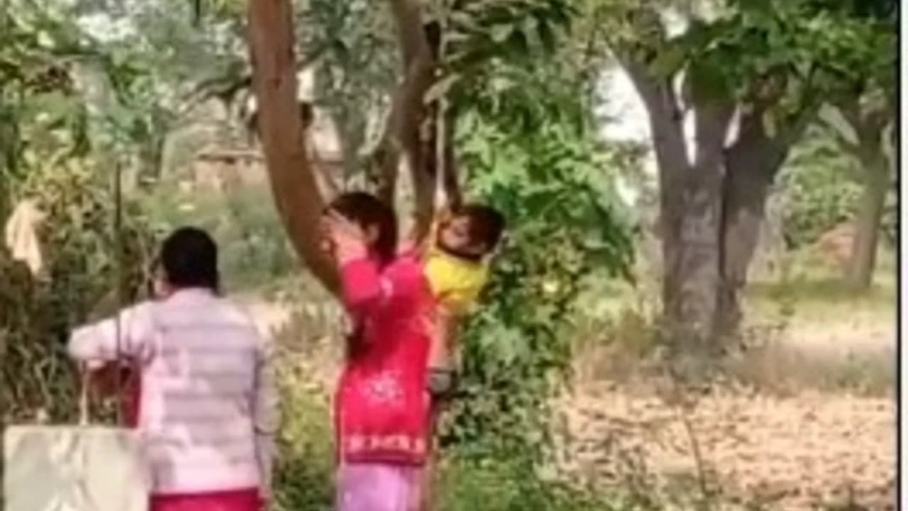 स्कूल में 4 साल के मासूम को पेड़ से क्यों लटकाया गया? Video वायरल होने के बाद सामने आया सच