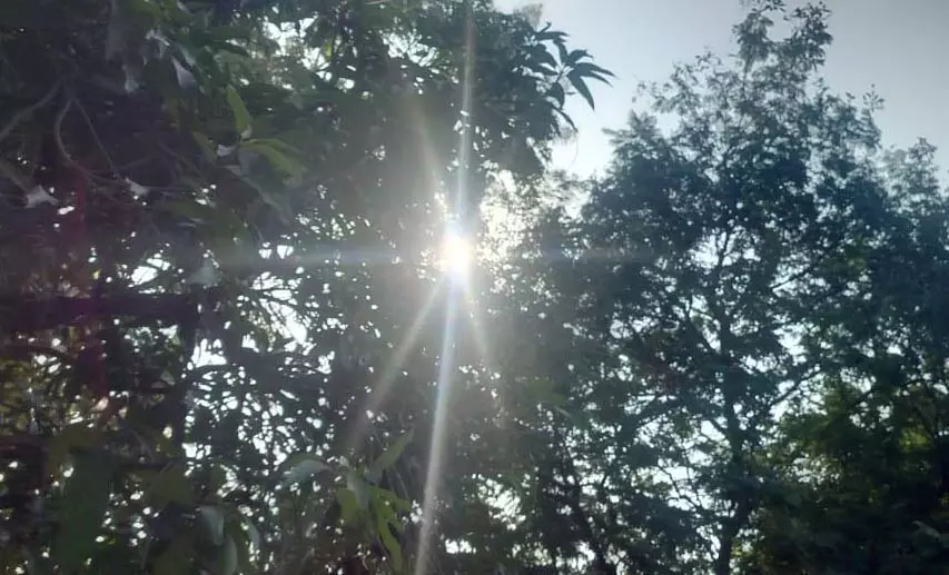 रायपुर में इस साल ठंड ज्यादा, कई जिलों में शीतलहर की चेतावनी