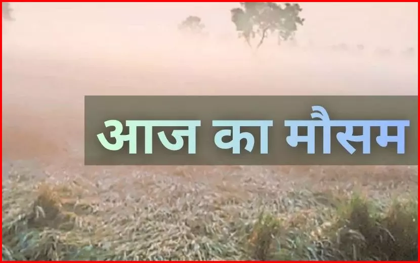 छत्तीसगढ़ में बढ़ी ठंड, मैनपाट में पर्यटकों का रेला शुरू