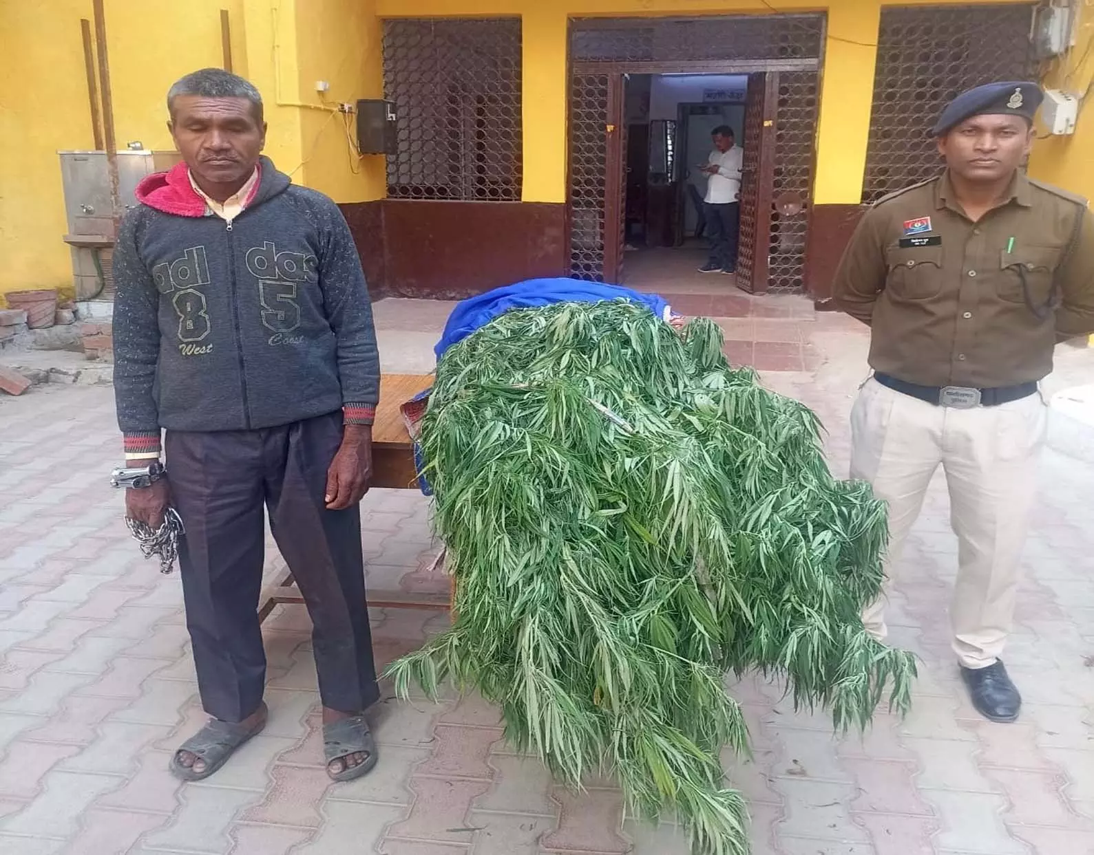 अवैध गांजा का पेड़ लगाने वाला आरोपी गिरफ्तार, 22.560 किलोग्राम गांजा जब्त