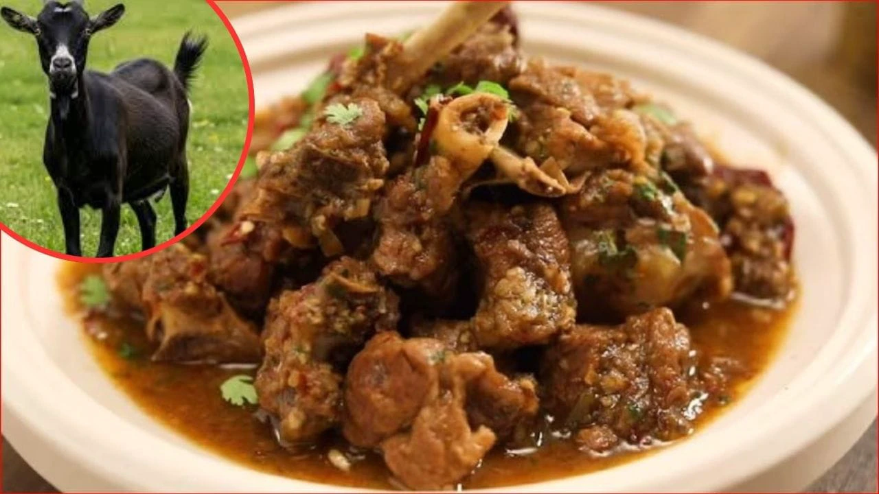 अंबिकापुर ब्रेकिंग: काली पूजा में बलि का बकरा बना मौत का खतरा! 400 लोगों ने खाया मीट, रैबीज की सच्चाई सामने आते ही गांव में मचा हड़कंप