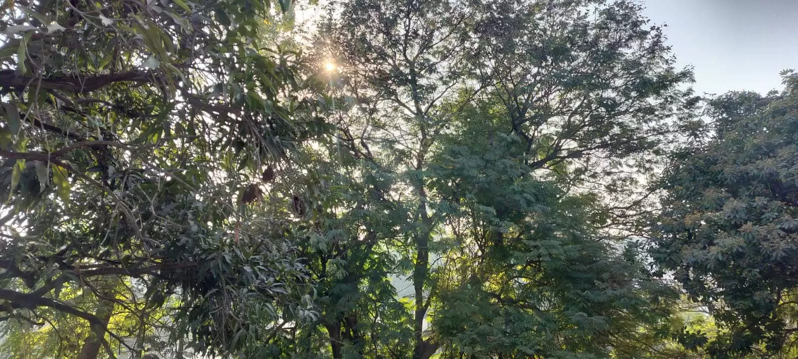 छत्तीसगढ़ में हड्डियाँ जमाने वाली ठंड! कई जिलों में पारा 5° तक… शीतलहर अलर्ट, क्या दिसंबर में बनेगा नया रिकॉर्ड?”