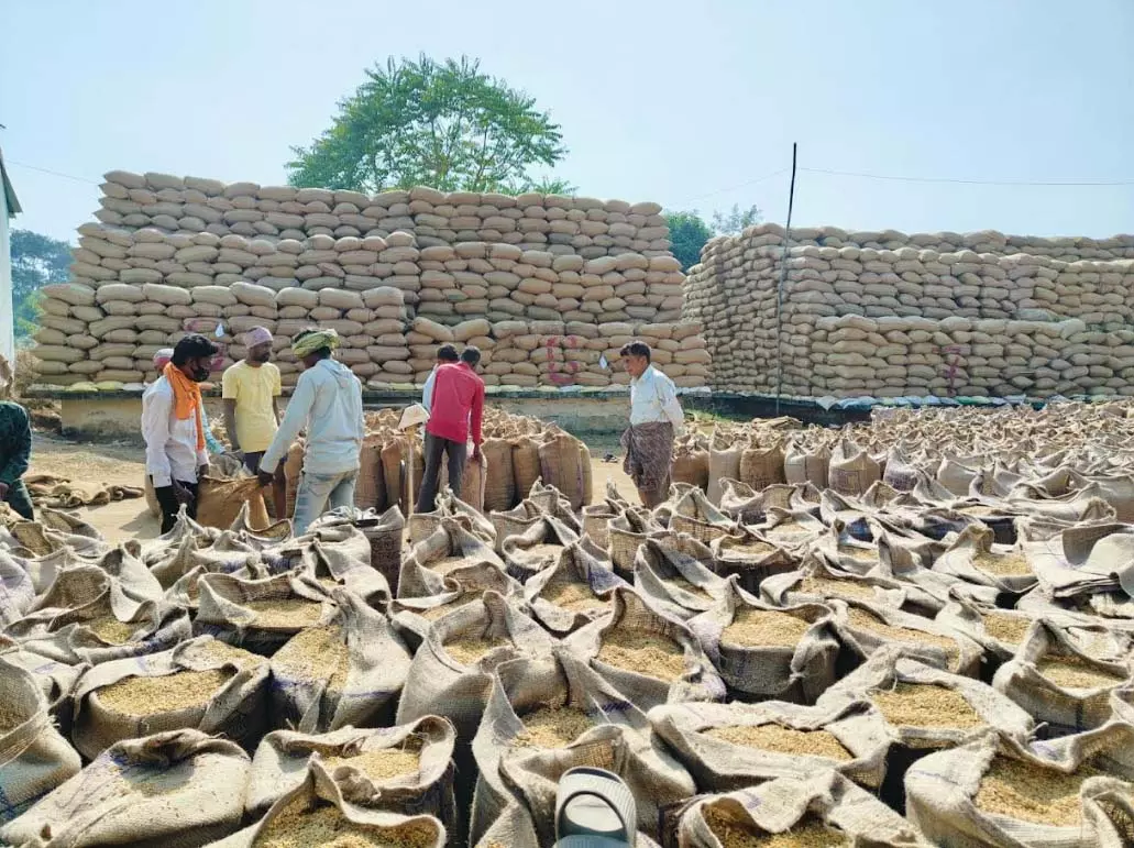 रायगढ़ में रिकॉर्ड धान खरीदी, 37 हजार से ज्यादा किसानों ने बेची उपज