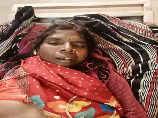 धान की रखवाली कर रही महिला पर हाथी का हमला