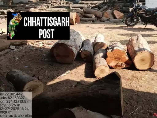 बिलासपुर: आरा मिल में बड़ी रेड, करोड़ों की अवैध इमारती लकड़ी जब्त