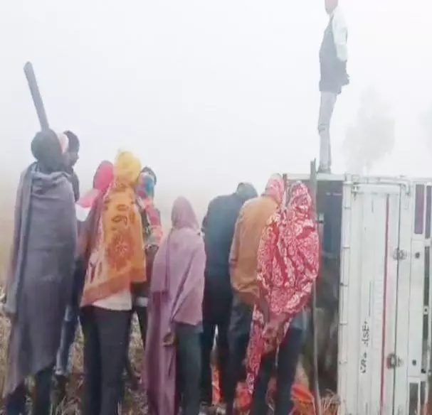 सरगुजा में पिकअप पलटा, गौ तस्करी का खुलासा, 4 गौवंशों की मौत