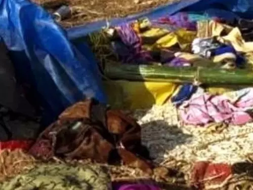 सूरजपुर में दर्दनाक हादसा: भटके हाथी ने नवजात को कुचला, झोपड़ी को किया तहस-नहस