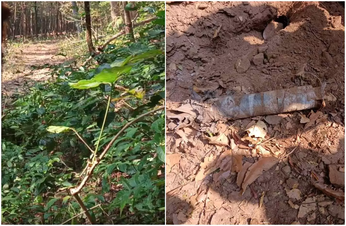 CG BREAKING: जंगल की ज़मीन में दबी थी मौत! नक्सलियों की बड़ी साजिश नाकाम, IED बम बरामद