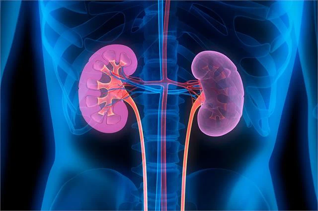 Kidney Disease Symptoms: सावधान! शरीर में दिखने वाले ये 10 मामूली संकेत हो सकते हैं kidney failure की निशानी