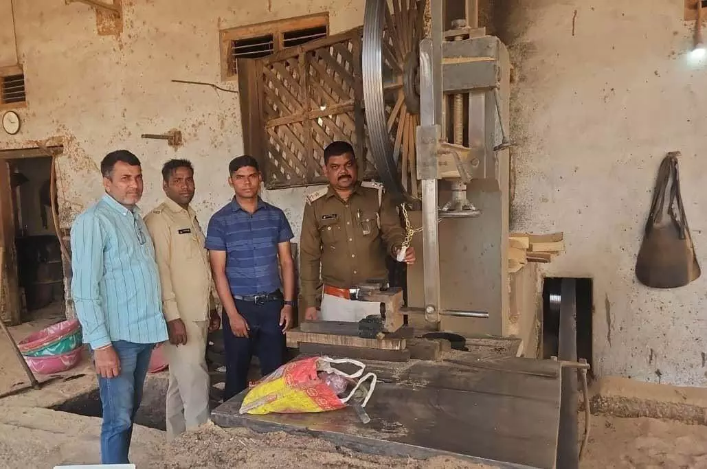 आधी रात का छापा… अचानक सील हुई आरा मिलें, जैजैपुर में मचा हड़कंप!