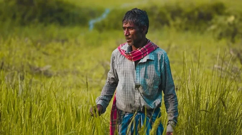 होली से पहले खुशियों की बारिश! 25 लाख किसानों के खाते में आज गिरेगा 10,000 करोड़ से ज्यादा… सीएम साय का बड़ा ऐलान