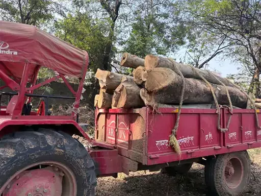 अवैध लकड़ी और बोल्डर तस्करी पर शिकंजा, 6 ट्रैक्टर जब्त