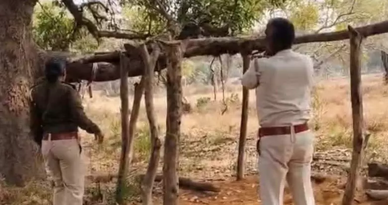 रात के सन्नाटे में चल रहा था ‘हरा सोना’ का खेल… अचानक वन विभाग की दबिश, 254 नग सागौन जब्त रात के सन्नाटे में चल रहा था ‘हरा सोना’ का खेल… अचानक वन विभाग की दबिश, 254 नग सागौन जब्त