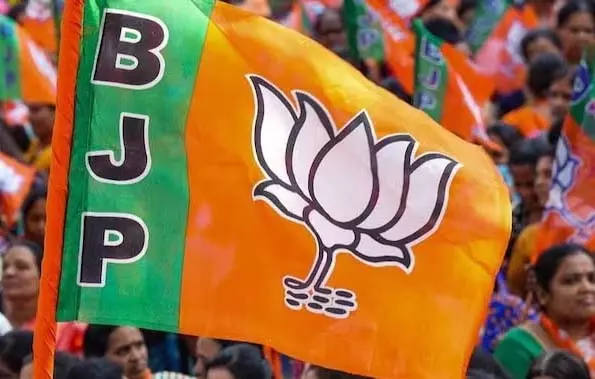 राज्यसभा की 2 सीटें… 7 दावेदार! छत्तीसगढ़ बीजेपी ने हाईकमान को भेजा नामों का पैनल