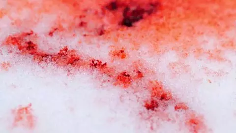 कमरे से आई जोरदार लड़ाई की आवाज… फिर छा गया सन्नाटा! कुछ देर बाद फंदे पर लटके मिले युवक-युवती के शव