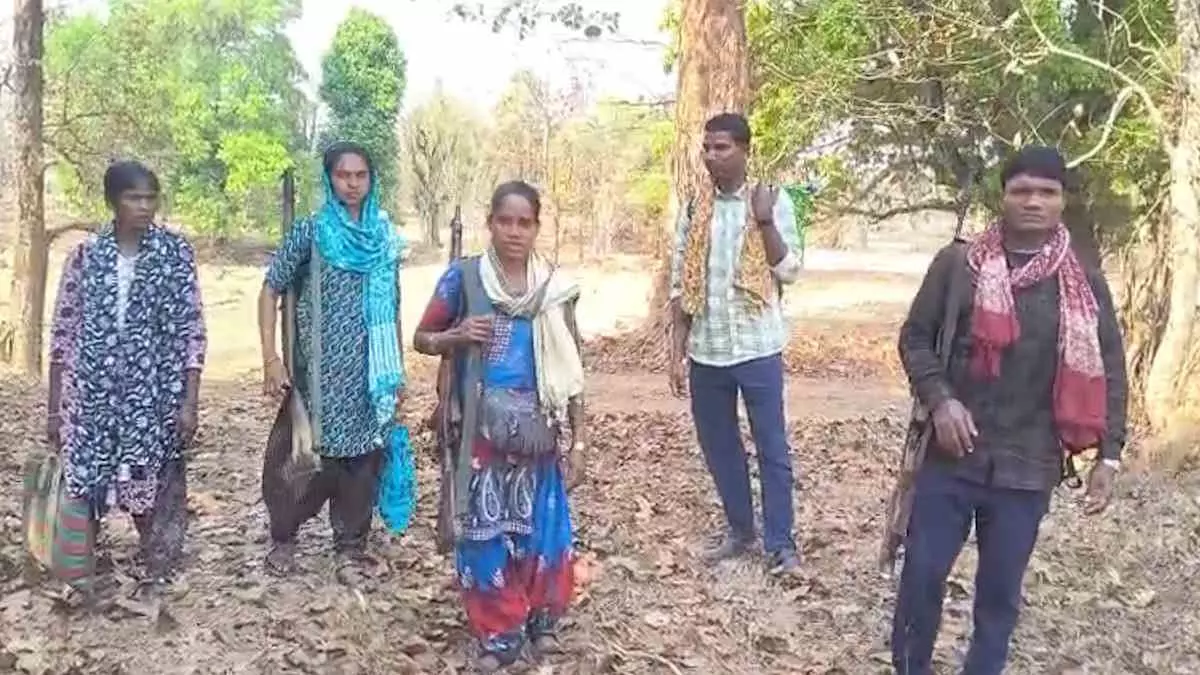 जंगल से निकले हथियारबंद नक्सली… सीधे SP ऑफिस की ओर, आखिर क्यों अचानक लिया सरेंडर का फैसला?