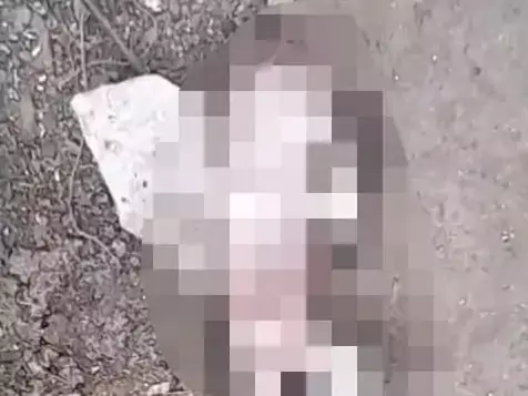 नाली में बहता मिला नवजात का शव! कचरा बीनने वाली की नजर पड़ी तो मचा हड़कंप