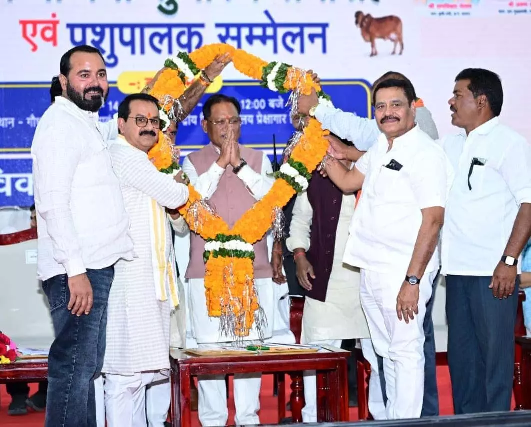 छत्तीसगढ़ में गौधाम योजना की बड़ी शुरुआत… 11 जिलों में खुले 29 गौधाम, जोगीपुर में बनेगा 184 एकड़ का पहला गौ अभ्यारण्य