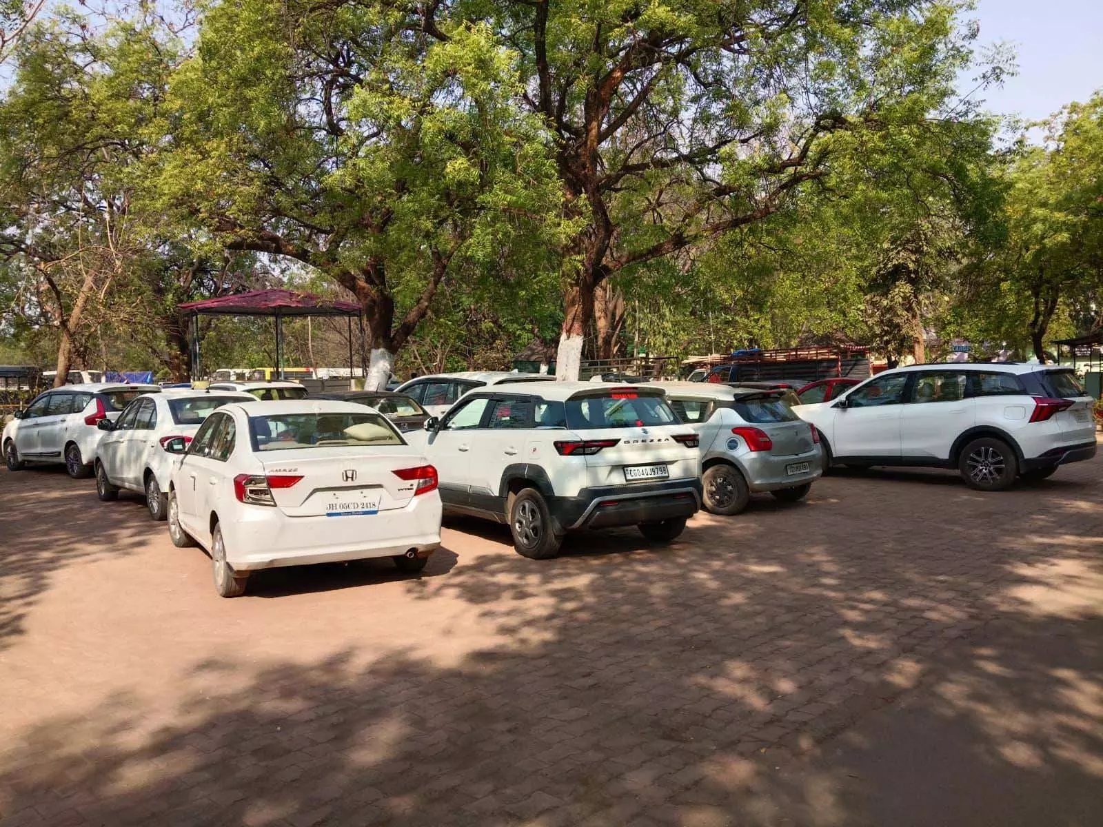 रायपुर की सड़कों पर आधी रात का सच, 3 घंटे में 159 नशेड़ी ड्राइवर पकड़े गए, आंकड़ों ने खड़े किए खौफनाक सवाल रायपुर की सड़कों पर आधी रात का सच, 3 घंटे में 159 नशेड़ी ड्राइवर पकड़े गए, आंकड़ों ने खड़े किए खौफनाक सवाल