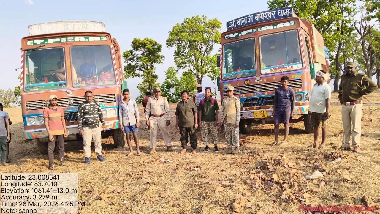 जंगल के अंदर चल रहा था खतरनाक खेल, रातों-रात पहुंची टीम, पकड़े गए ट्रक और खुल गया बड़ा राज