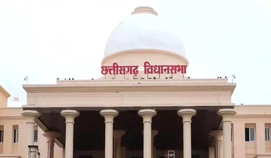 राज्यसभा की दौड़ में सियासी हलचल! आज नामांकन भरेंगी लक्ष्मी वर्मा और फूलोदेवी नेताम, विधानसभा में बढ़ेगा सियासी ताप