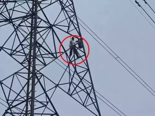 न्याय न मिला तो हाईटेंशन टावर पर चढ़ गया ग्रामीण…नीचे खड़े अफसरों की सांसें अटकीं, बिजली भी करनी पड़ी बंद!