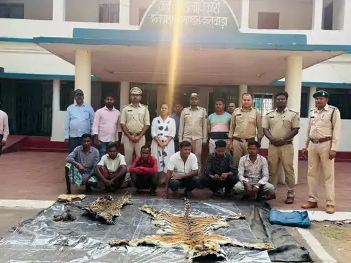 “जंगल में मौत का खेल बेनकाब! बाघ-तेंदुए की खाल के साथ पकड़ा गया खतरनाक शिकार गिरोह”