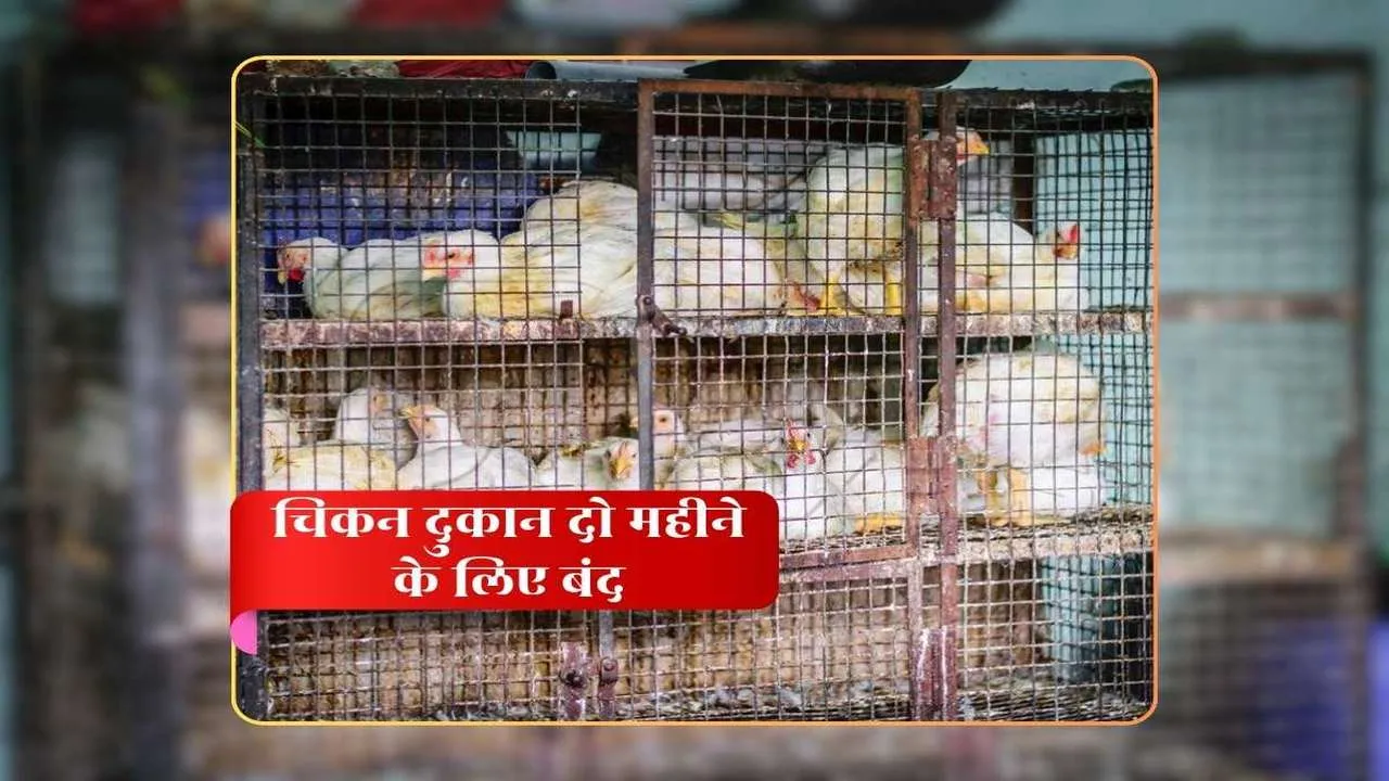 बर्ड फ्लू का खौफ! चिकन दुकानें होंगी बंद, 6 महीने तक पोल्ट्री पर ताला लगने का खतरा