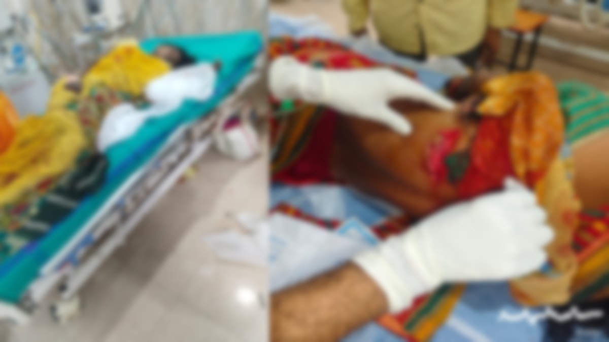 जंगल में घात लगाकर बैठा था मौत का साया, तेंदूपत्ता तोड़ने गई महिलाओं पर अचानक टूटा जंगली सूअर का कहर