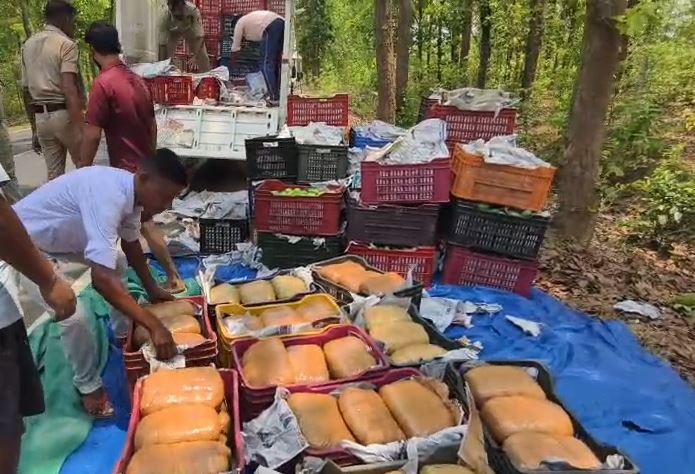 1.3 करोड़ का गांजा जब्त, फल कारोबारी बनकर कर रहा था तस्करी, पुलिस ने दबोचा एक आरोपी