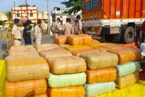 छत्तीसगढ़-उत्तर प्रदेश बॉर्डर पर बड़ी कार्रवाई, पाउडर की परतों के नीचे छिपाकर ले जाई जा रही थी 1941 किलो गांजे की खेप, ओडिशा से जुड़े तार
