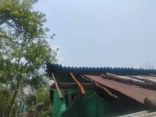 छत्तीसगढ़ में आसमान से बरसी मौत! खेतों में काम कर रहीं महिलाओं पर गिरी बिजली, 3 की दर्दनाक मौत, कई झुलसे