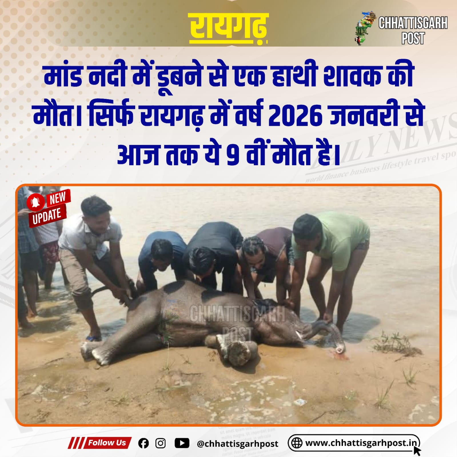 50 हाथियों के झुंड में मचा हड़कंप! नदी में तैरता मिला शावक का शव, फिर उठे वन विभाग पर सवाल