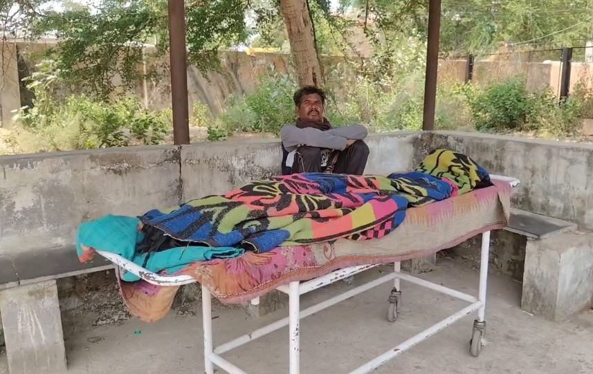 दर्दनाक हादसा, मधुमक्खियों के हमले में बुजुर्ग महिला की मौत, दामाद की हालत खतरे से बाहर