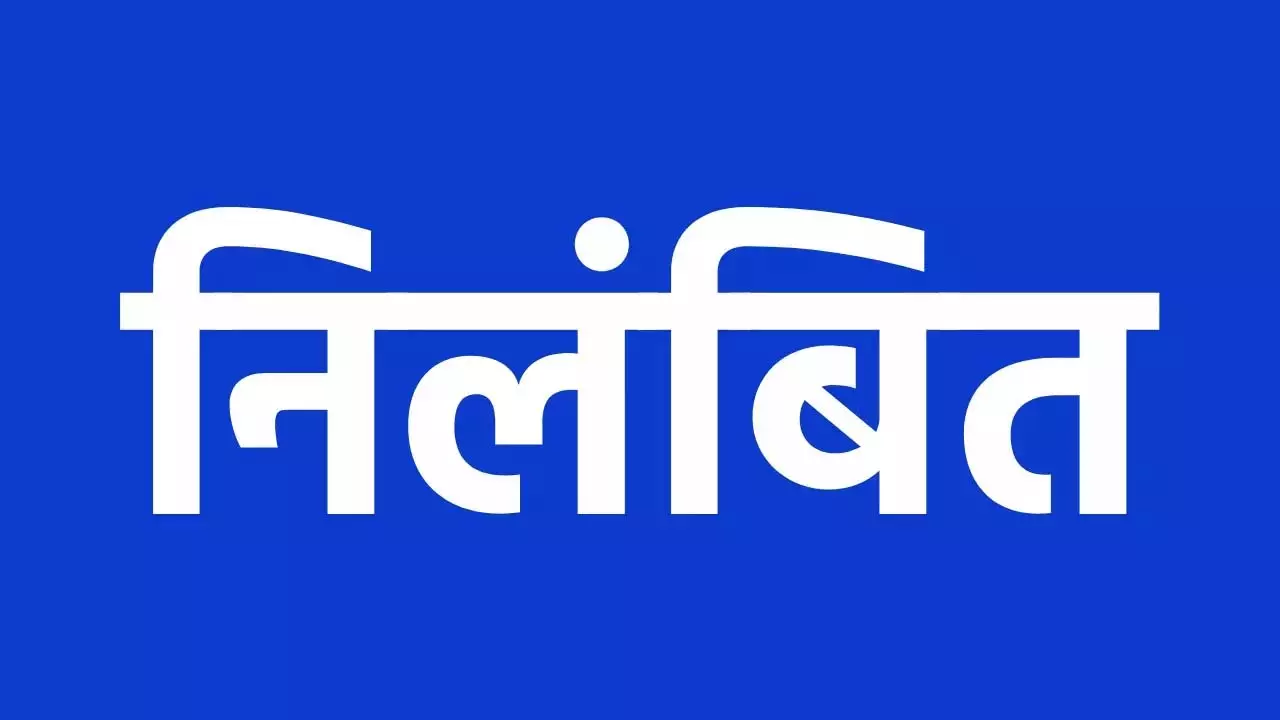 सुशासन तिहार में खुली पटवारी की पोल! ग्रामीणों की शिकायत के बाद कलेक्टर का बड़ा एक्शन, तत्काल निलंबित