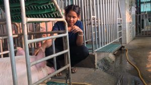 BSc Agriculture के बाद नौकरी नहीं, चुना ऐसा रास्ता… आज 400 से ज्यादा सूकरों की मालकिन, पहली ही बिक्री में कमा लिए ₹3.90 लाख!