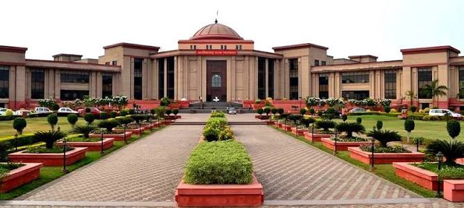 CG High Court: अनुकंपा नियुक्ति पर हाईकोर्ट का बड़ा फैसला, विधवा को मिलेगी पहली प्राथमिकता… बहन का दावा क्यों हुआ खारिज?
