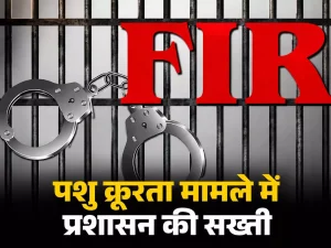 126 पशु, सरकारी जमीन पर कब्जा और फिर खुला पूरा राज! पिता-पुत्र गिरफ्तार, पंचायत सचिव पर भी गिरी गाज